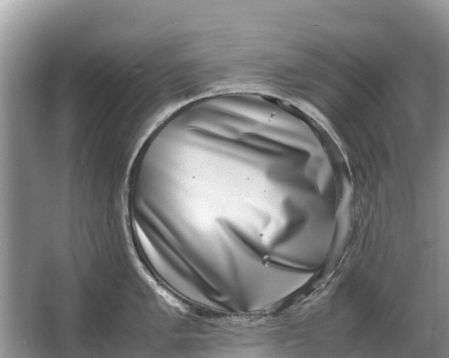 X0000064771005200602241946