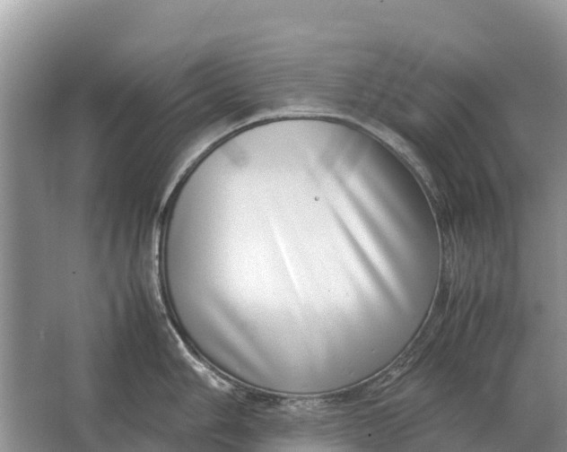 X0000064771006200602241946