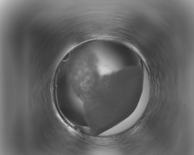 X0000064771007200602241946