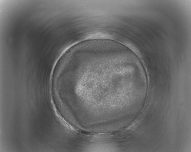 X0000064771008200602241946