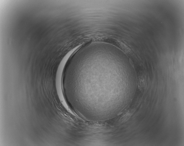 X0000064771010200602241945