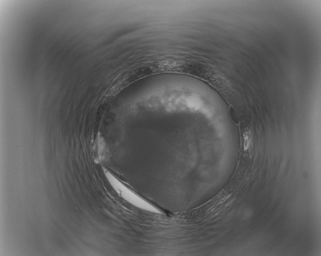 X0000064771011200602241945