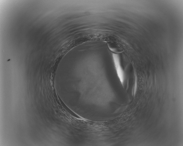 X0000064771013200602241945