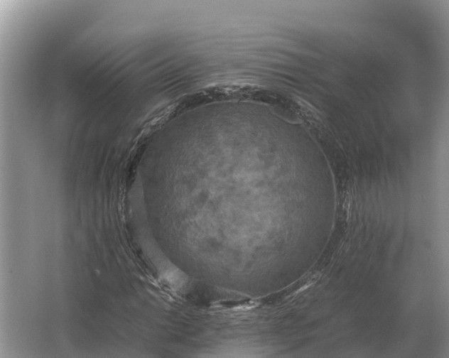 X0000064771014200602241945