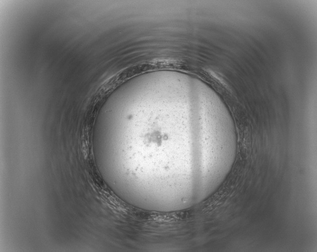 X0000064771015200602241945