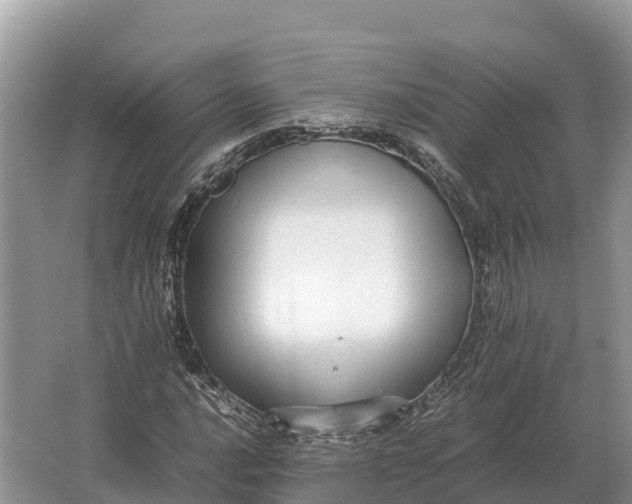 X0000064771016200602241945