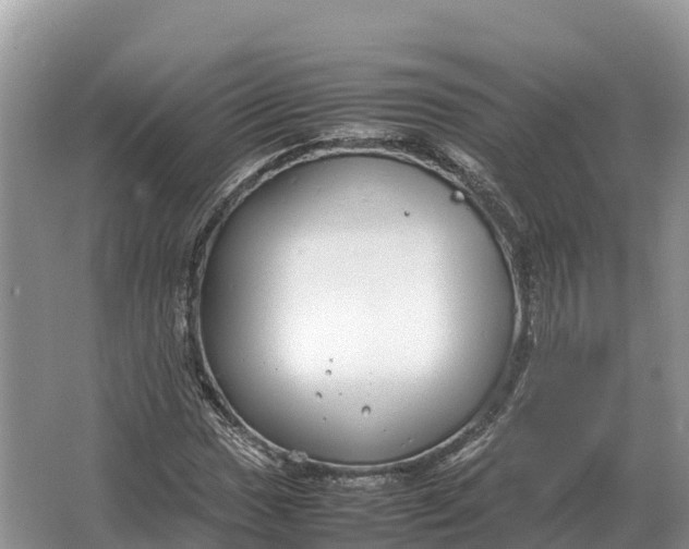 X0000064771017200602241945