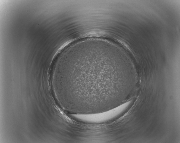 X0000064771018200602241945