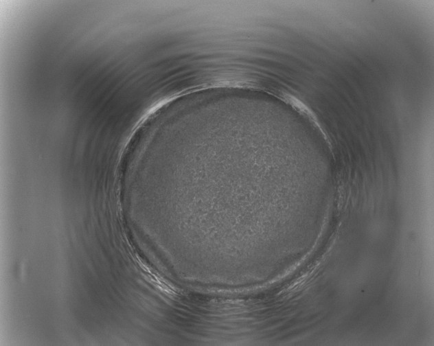 X0000064771019200602241945