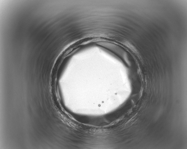 X0000064771020200602241945