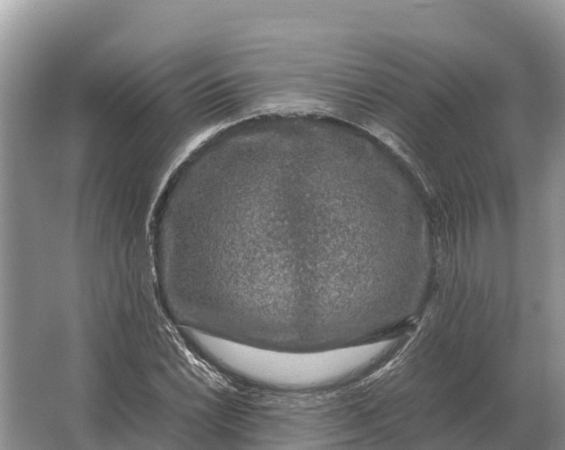 X0000064771022200602241945