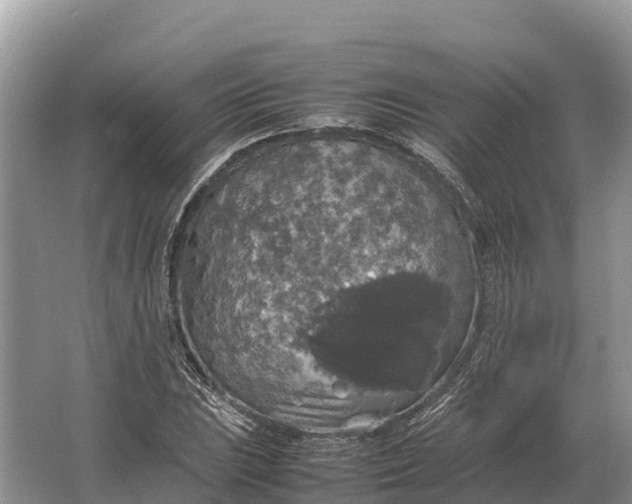 X0000064771023200602241945