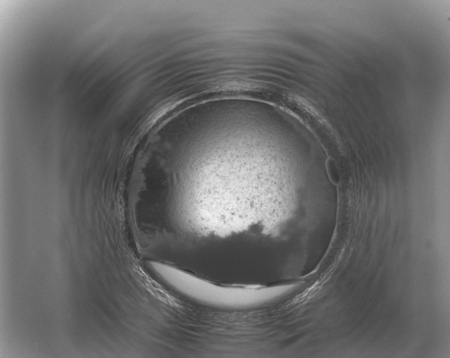 X0000064771025200602241945