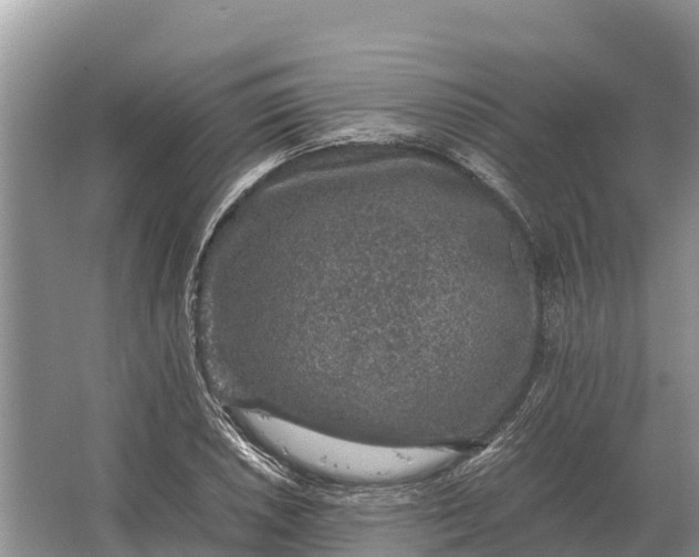 X0000064771026200602241945