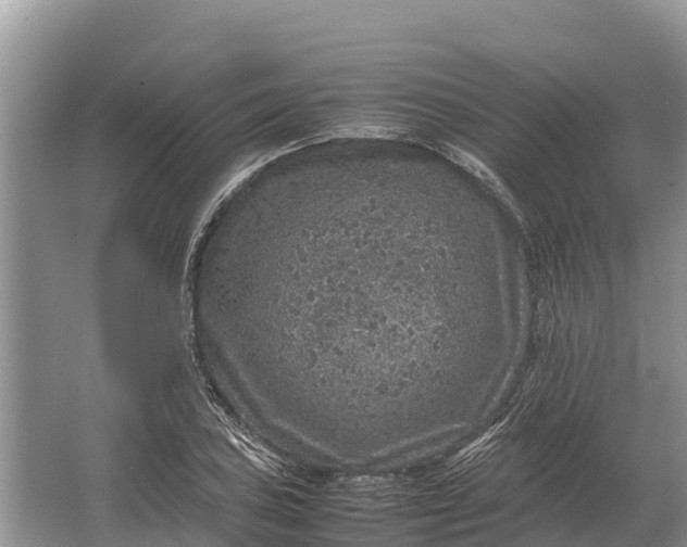 X0000064771027200602241945