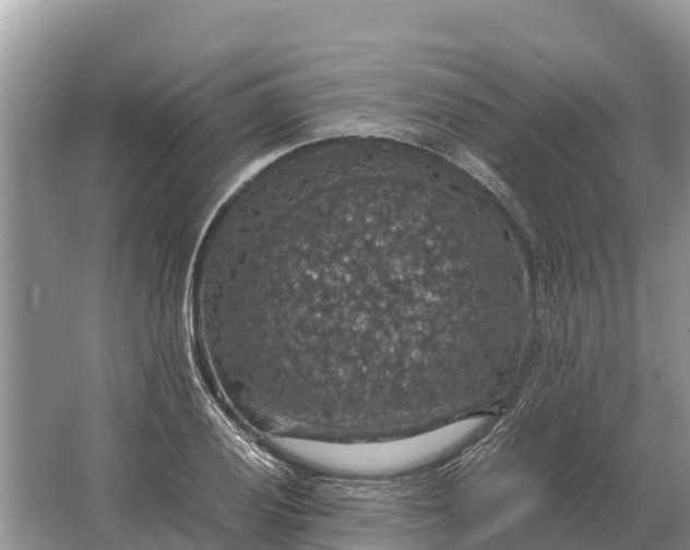 X0000064771028200602241946