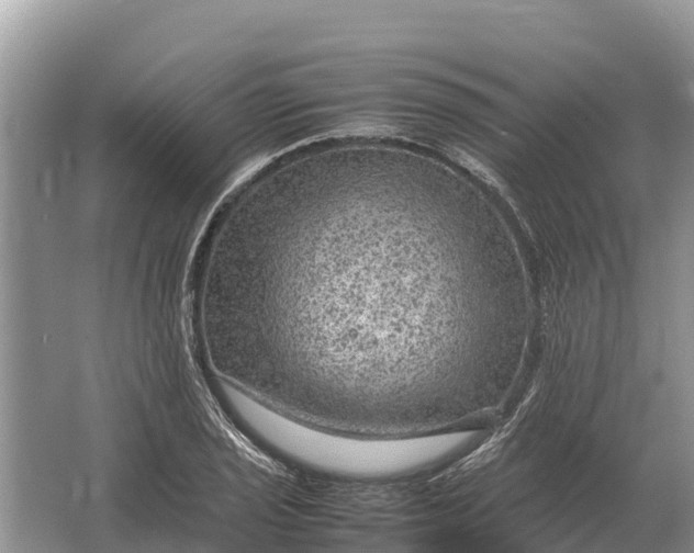 X0000064771029200602241946