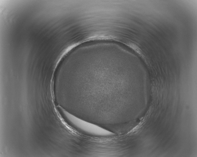 X0000064771030200602241946