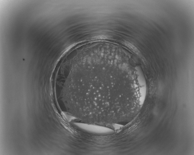 X0000064771031200602241946