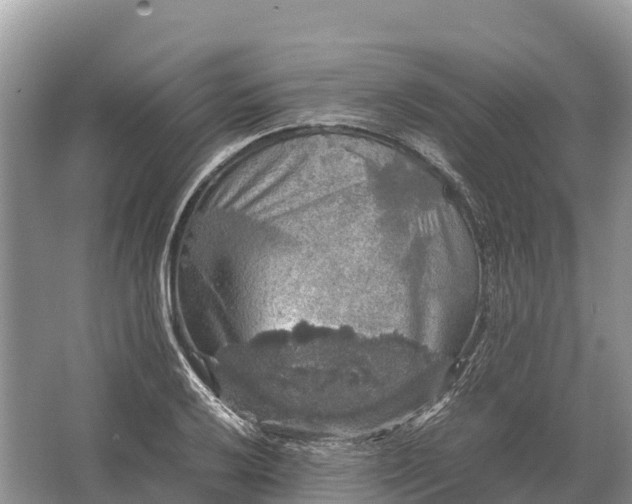 X0000064771032200602241946