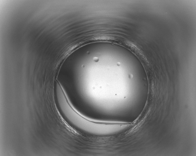 X0000064771033200602241946