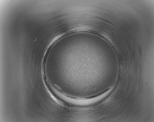 X0000064771034200602241946