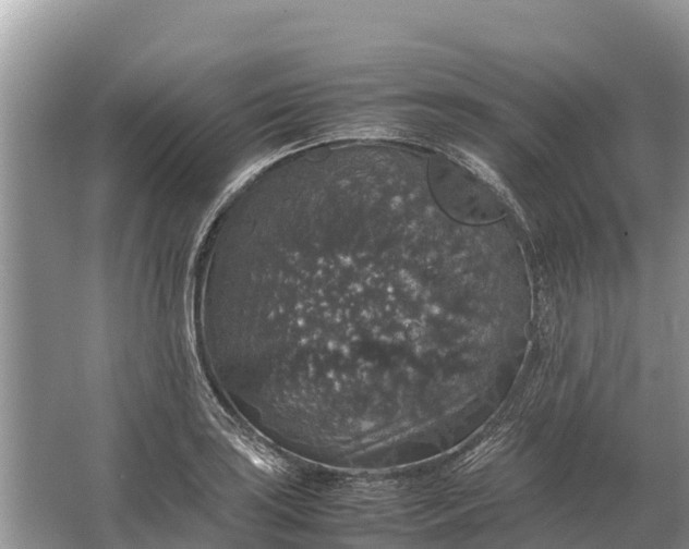 X0000064771035200602241946