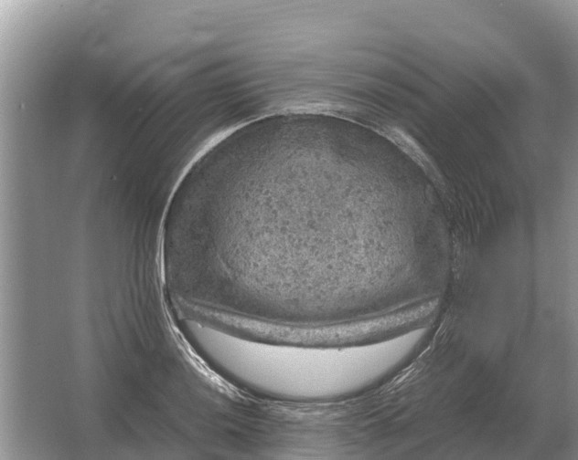 X0000064771036200602241946