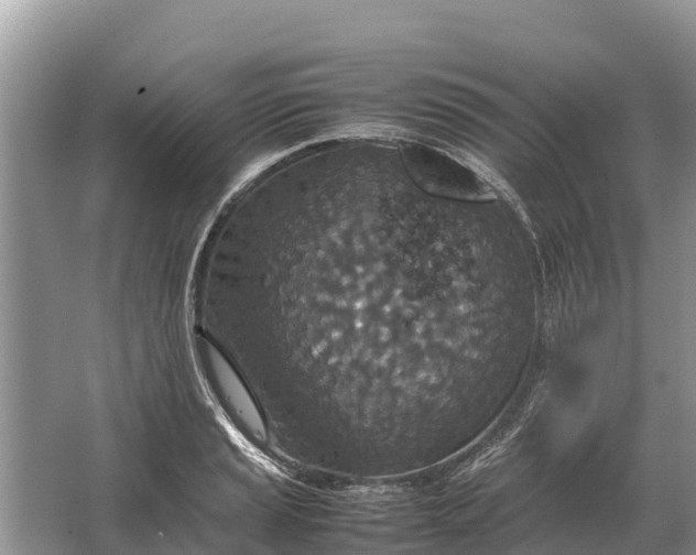 X0000064771037200602241946