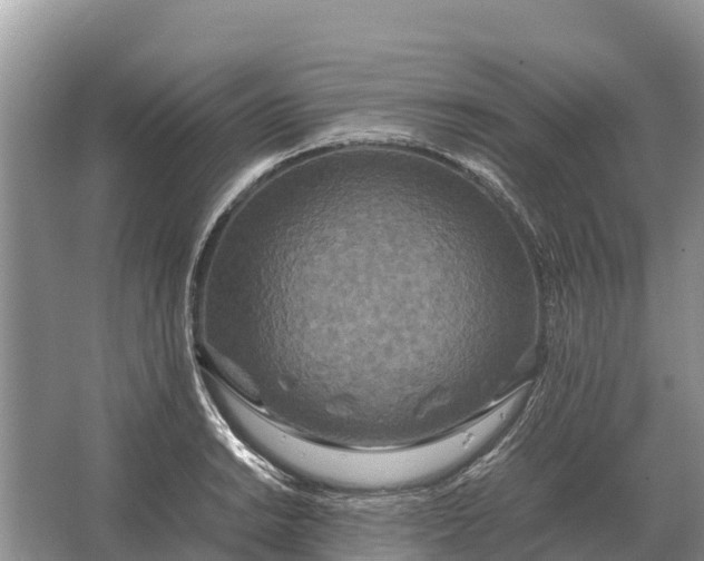 X0000064771038200602241946