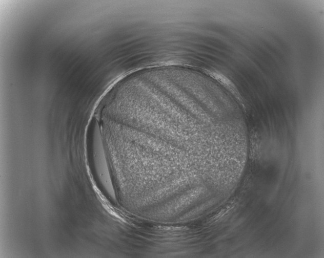 X0000064771039200602241946