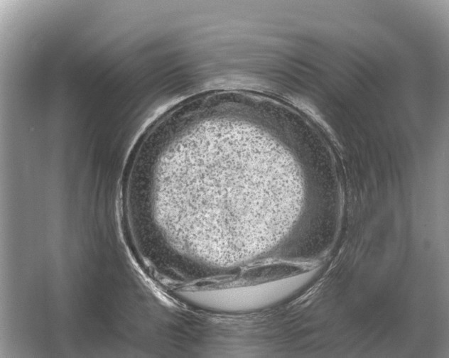 X0000064771040200602241946