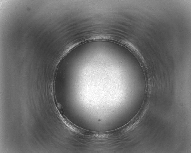 X0000064771041200602241946