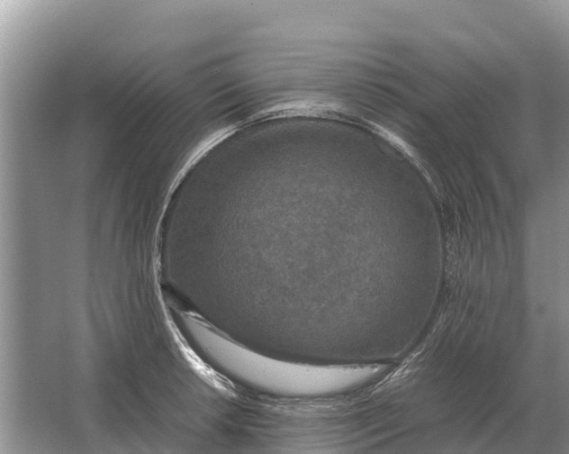 X0000064771042200602241946