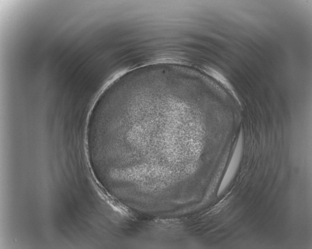 X0000064771043200602241946