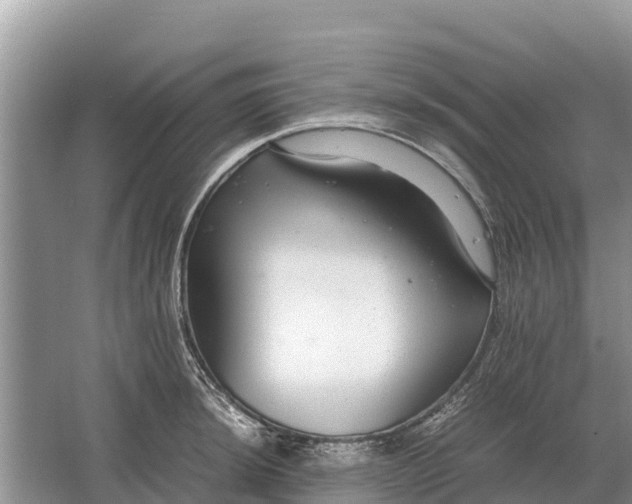 X0000064771044200602241946