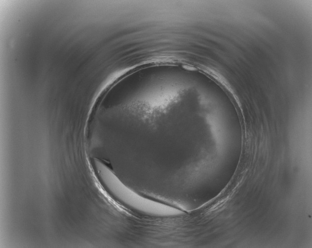 X0000064771045200602241946