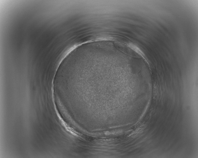 X0000064771047200602241946