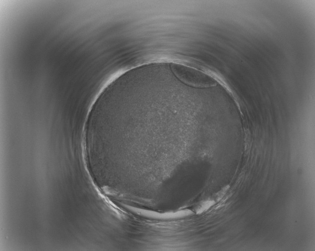 X0000064771048200602241946