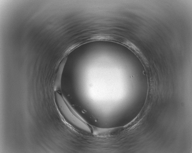 X0000064771049200602241946