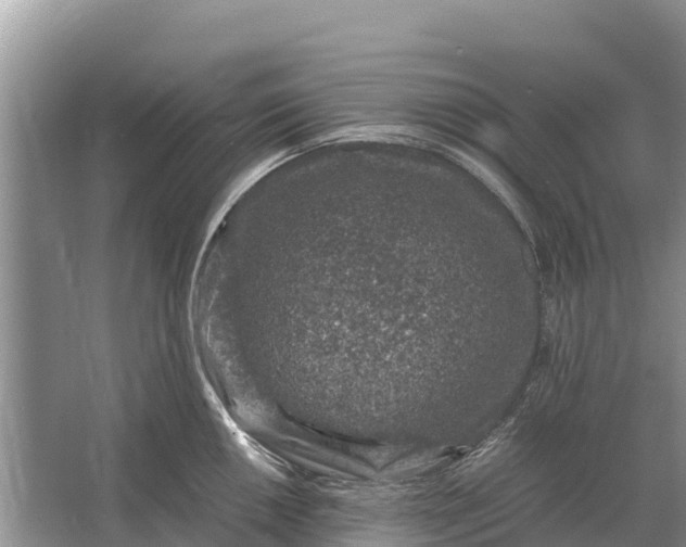 X0000064771050200602241946