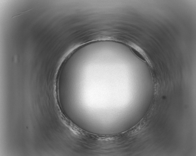 X0000064771051200602241946