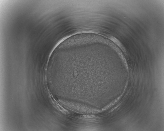 X0000064771052200602241946