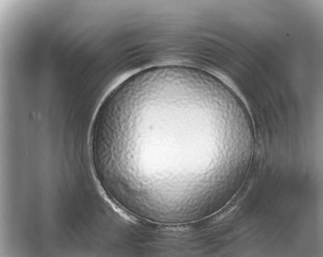 X0000064771053200602241946