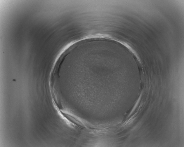 X0000064771054200602241946