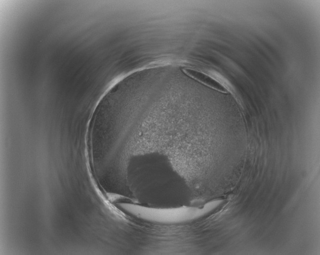 X0000064771055200602241946