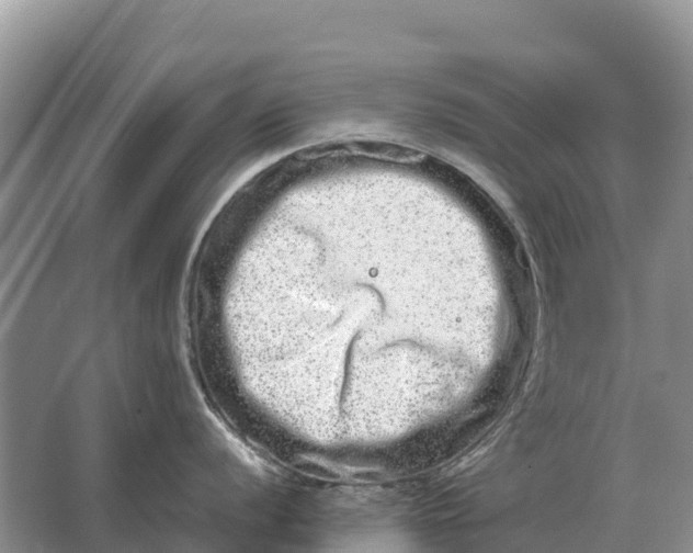 X0000064771056200602241946