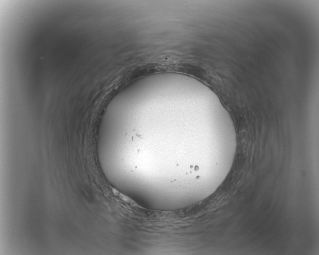 X0000064771057200602241945