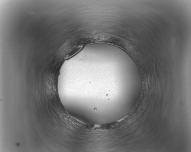 X0000064771058200602241945