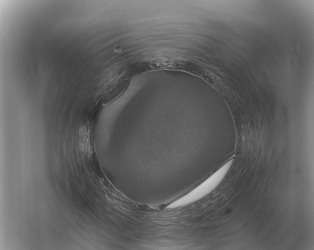 X0000064771060200602241945